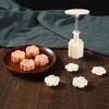 Cherry Blossom Mooncake & Mung Bean Cake Mold