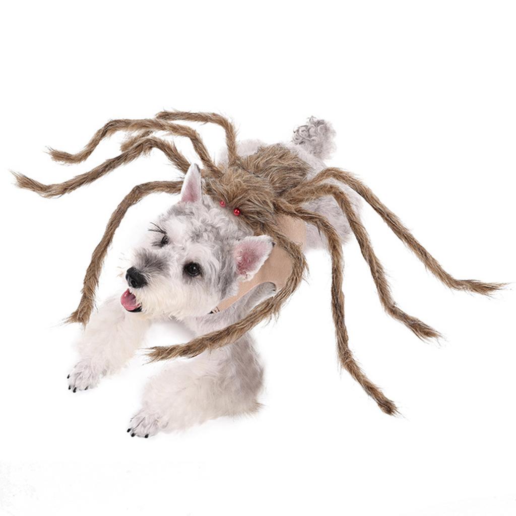Haustier Kostüm Hut Lustige Spinnen Tier Cosplay Kleid Cosplay Zubehör Haustier Cosplay Zubehör Spinnen