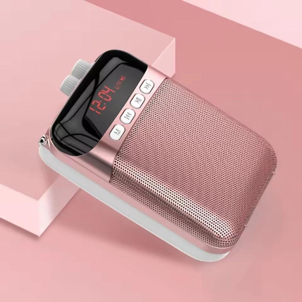 Rechargeable Wireless Microphone Portable Amplifier Loudspeaker  Teaching Environment