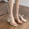 Niche High-end Cool Slippers Women's Summer Wear 2025 Thick High-heeled French Small Sandals Pinch Toes