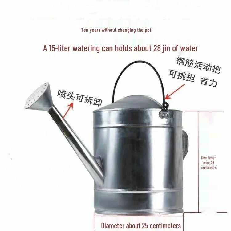 Stainless Steel Large Capacity Watering Can with Movable Handle and Sprayer