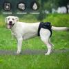 Puppy Diaper Breathable Health Care Menstruation Pants Dog Briefs Pet Physiological Pants For Female Dogs