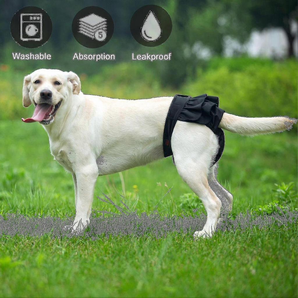 Puppy Diaper Breathable Health Care Menstruation Pants Dog Briefs Pet Physiological Pants For Female Dogs