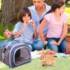 Breathable Small Pet Backpack Lightweight Pet Carrier Bag Parrot Pet Handbag  Outdoor