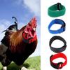 2 Pcs Safe Rooster Neck Belt Neckband Adjustable Anti-crowing Nylon Anti Crow Collar No Noise Animals Product Accessories