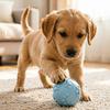 Squeaky Dog Ball Raised Texture Dog Chew Toy Bite-Resistant Puppy Teething Toy for Dogs Teeth Cleaning Boredom Relief