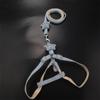 Hundeleine und Halsband Set Niedlicher Seestern Welpe Kätzchen Geschirr Gestreiftes Baumwoll Halfter 4 Farben für Kleine Hunde Leinen Katzenzubehör