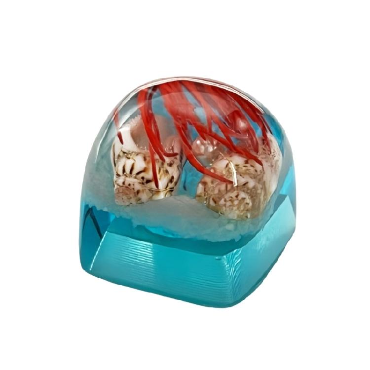 Clear Keycaps Featuring Underwater And Ocean Creature Pattern For Mechanical Keyboards Switches Decoration