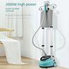 High-Power Handheld Double-Pole Steam Iron with Large Capacity for Vertical Ironing