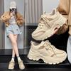 Hong Kong Style Shows Feet, Small Platform Dad Shoes, Spring and Autumn Fried Street Super Fire New Casual Sports Shoes