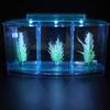Three Areas Small Aquarium, Transparent Fish Tank, Desktop with Water Change Valve with LED Light for Betta Small Fishes(Blue)