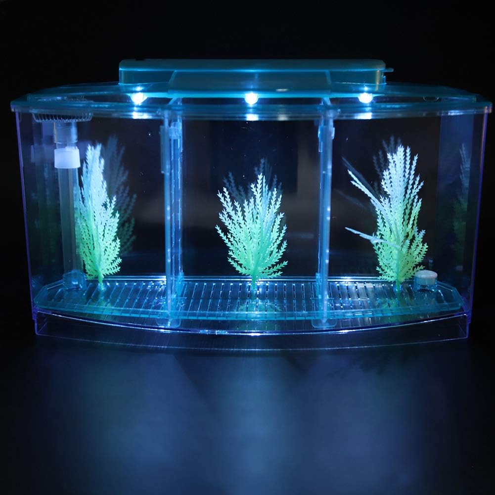 Three Areas Small Aquarium, Transparent Fish Tank, Desktop with Water Change Valve with LED Light for Betta Small Fishes(Blue)