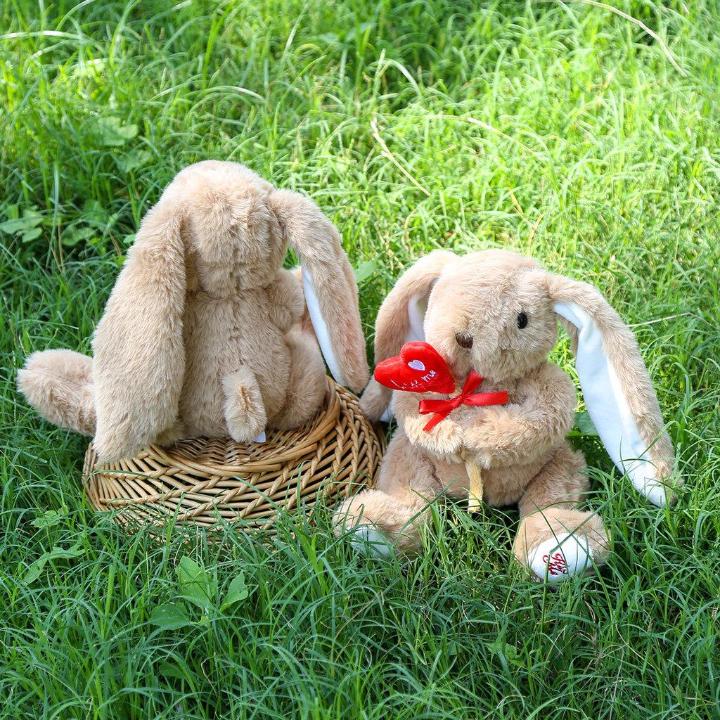 Cute Flower Hug Rabbit Plush Doll Ornament For Girls Bedroom Decor Presents And