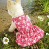 Ropa y calzado – Vestidos para perros