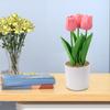 Artificial Tulip Flowers In Pot, Faux Potted Plants For Home, Office, Wedding, Party And Garden Decorations Potted Tulip Plants