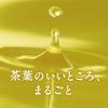 Kirin Namacha 525ml 24 Bottles Tea Green Tea Plastic Bottle