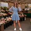 Women's Color Long Sleeve Button Front Paneled Dress with Lapel Collar