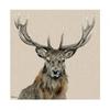 Home Decor – Pictures & Posters