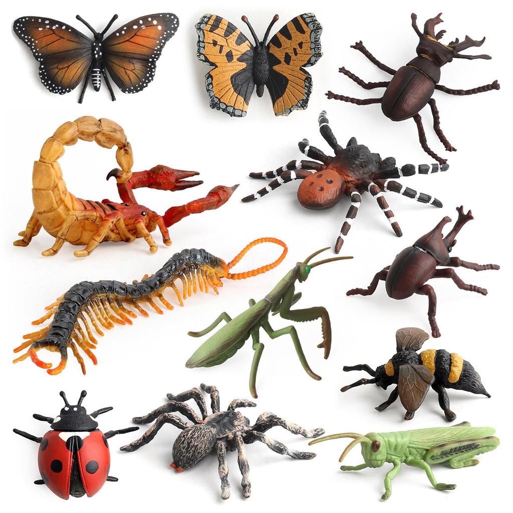 Spinnen Vlinder PVC Insectenmodel Set Met Realistische Dierlijke Replica's Voor Educatief Spel En Verzameling