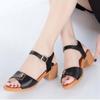 One-word thick heel shoes medium heel soft sole non-slip sandals medium old women's style medium 2 summer women's sandals