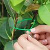 Green Nylon Cable Ties Self-Locking Cord Ties Wire Binding Wrap Straps for Plants Garden Fence Fixed Fastener Rings