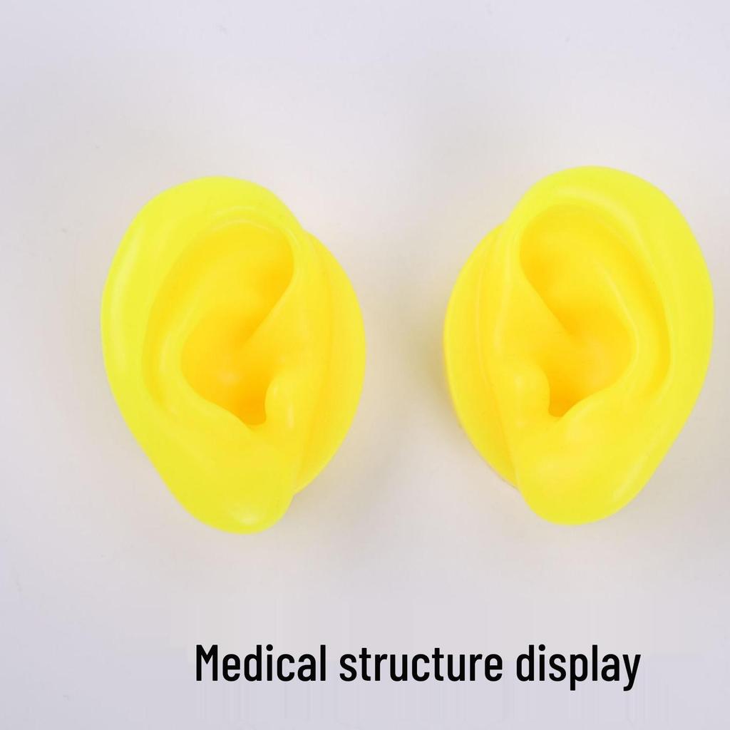 Silicone Ear Model for Training, Display & Ear Studs or Earphones