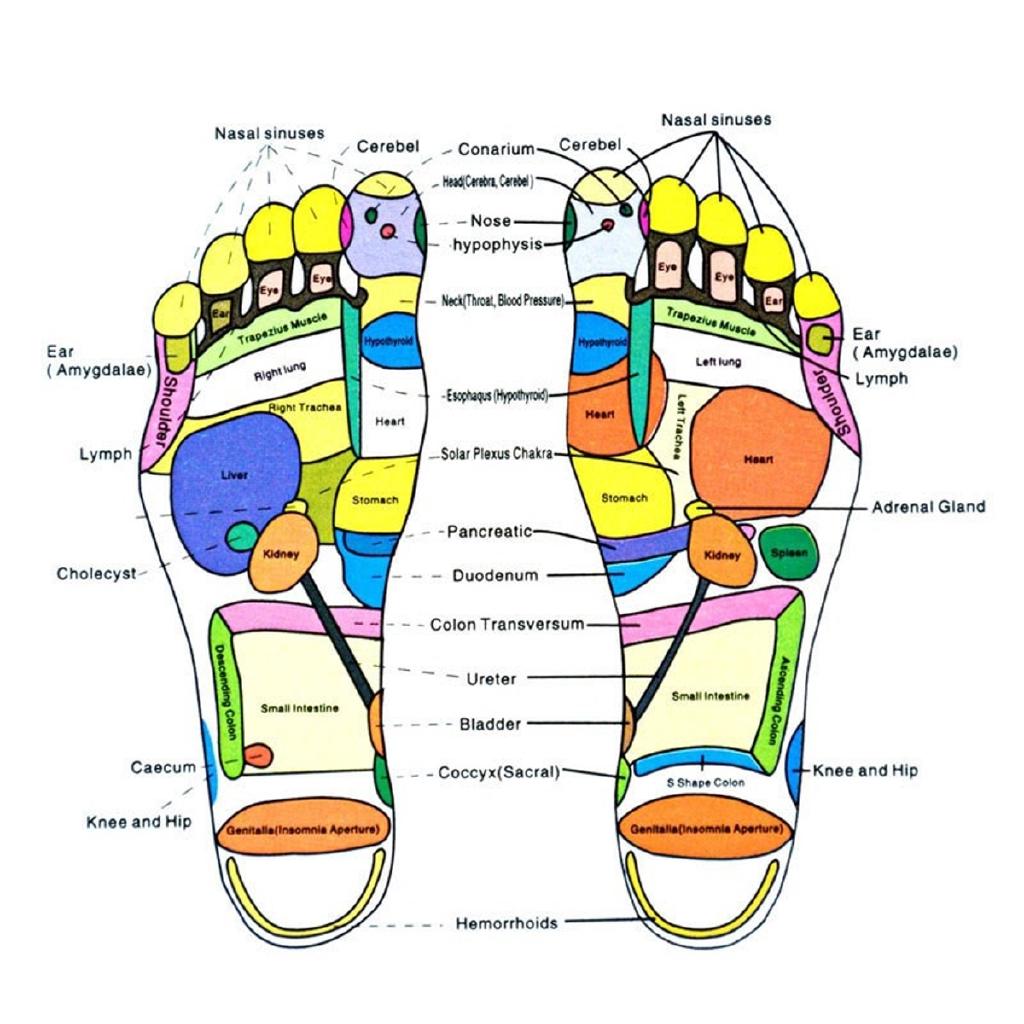 3W 220V Vibrator Relaxation Infrared Acupuncture Heat Therapy Relaxing Fatigue Kneading Massager Electric Foot Massager Machine