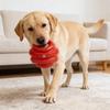 Kettlebell Dog Chew Toy Interactive Dog Toy Ball with Handle Teeth Cleaning Toy for Dogs Toss And Fetch Play Training