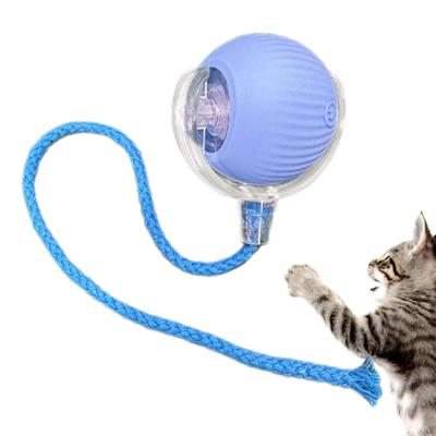 Interactive Cat Toy Ball Automatic Electric Dog Moving for Adults Kitten