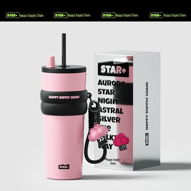 Shidajia 316 Stainless Steel Insulated Straw Water Bottle