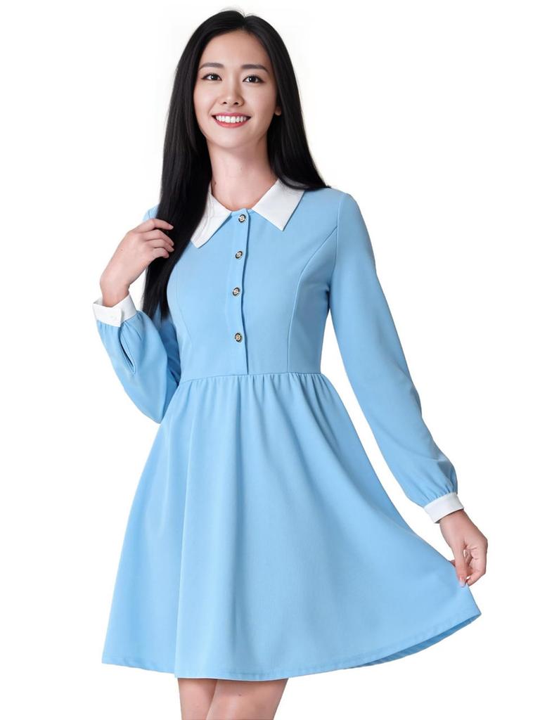 Allegra K Women's Light Blue A-Line Short Dress with Long Sleeves, Vintage Design, Round Collar, and Contrast Half Placket, Size L