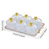 Dried Fruit Plate Appetizer Serving Tray Luxury Divided Platter Condiment for Living