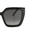Dior Signature S10F Butterfly Sunglasses Women Sunglasses SGTS10FXR-10A1