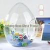 Egg-Shaped Glass Vase for Succulent and Moss Landscaping