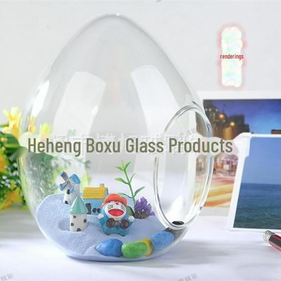 Egg-Shaped Glass Vase for Succulent and Moss Landscaping