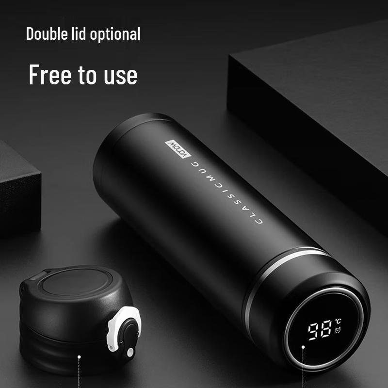 Vanow 500ml 316L Stainless Steel Double-Lid Thermos Bottle