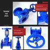 DN65 Manual Non-Rising Stem Flange Soft Seal Gate Valve