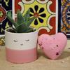 4x Bath Bomb Heart Ylang-Ylang Rose 70g