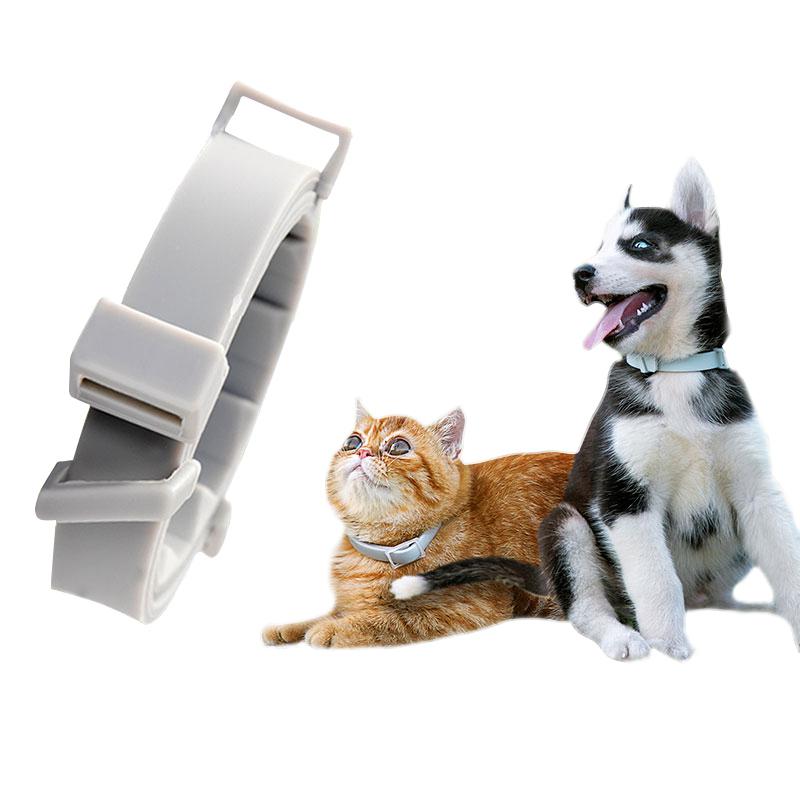 Pet Flea dog collar Collar For Dogs And Cats Adjustable TPR Neck Strap