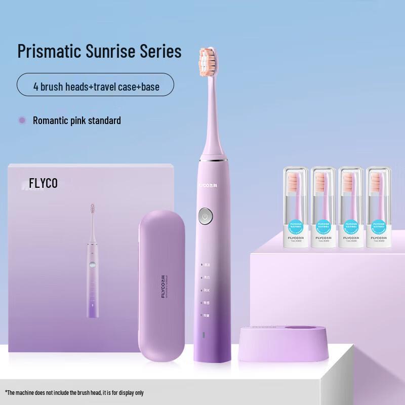 FLYCO FT7105 Rechargeable Sonic Electric Toothbrush