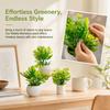 Green Leaves Monstera Leaf Artificial Plant Photo Props Artificial Potted Plant  Desktop Ornament