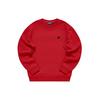 Letter Print Pullover Long Sleeve Sweatshirt Men Sweatshirt Pomegranate-Red T11M313202F-RD