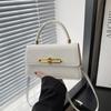 French Niche Underarm Small Bag Women's 2025 New Textured Small Square Bag Personalized Lock Fashion Shoulder Messenger Bag