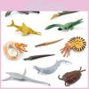 Realistic Ancient Ocean Animal Models Including Dunkleosteus Trilobite And More In Durable Plastic
