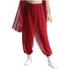 Girls Classical Dance Pants Split Chiffon Overlay Design Practice Wear Stage Performance Bottoms