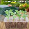 12 Cells Hole Plastics Plant Pots Grow Box Plant Seedling Pots Gardening Sowing Tray Tools Hydroponics Growing System Indoors