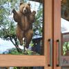 Cartoon Cute Brown Bear Static Cling UV Window Sticker for Glass Door Background Decoration Kids Room Home Decor