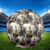 1pc Buddha Lotus Pond Durable Size 5 Soccer Ball Professional Match Training Football Indoor &Outdoor Sports Ball P60126