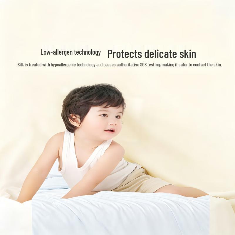 Mercury Home Textiles 100% Silk Quilt