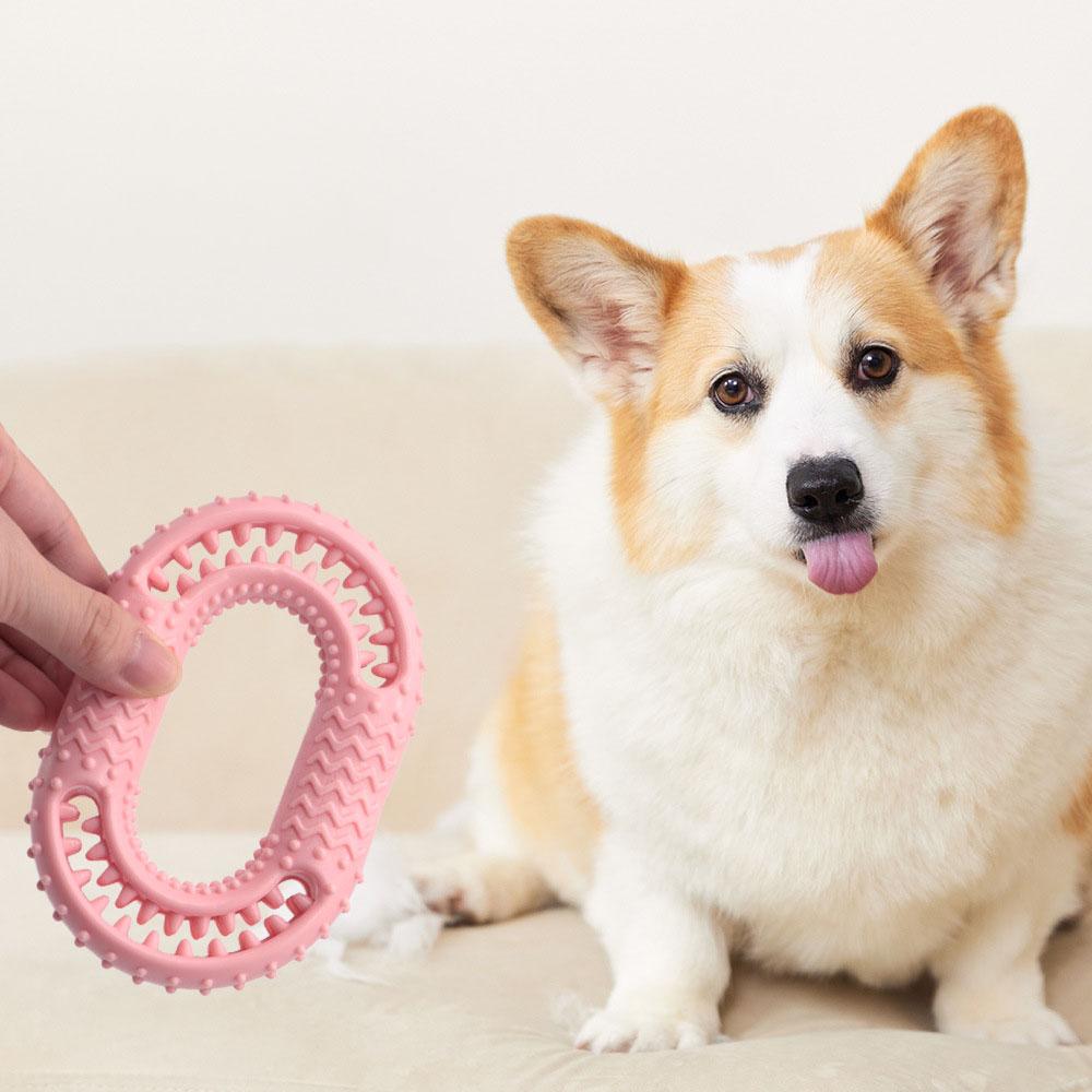 Indestructible Dog Chew Toy - Durable Molar Teeth Cleaning Toy for Puppies & Adult Dogs,